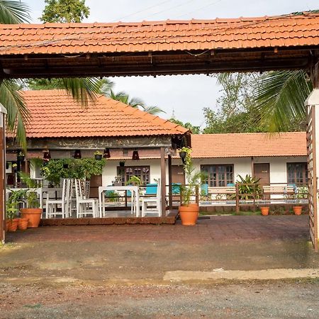 Dhanrains Moonlight Retreat Cottages Palolem Eksteriør bilde